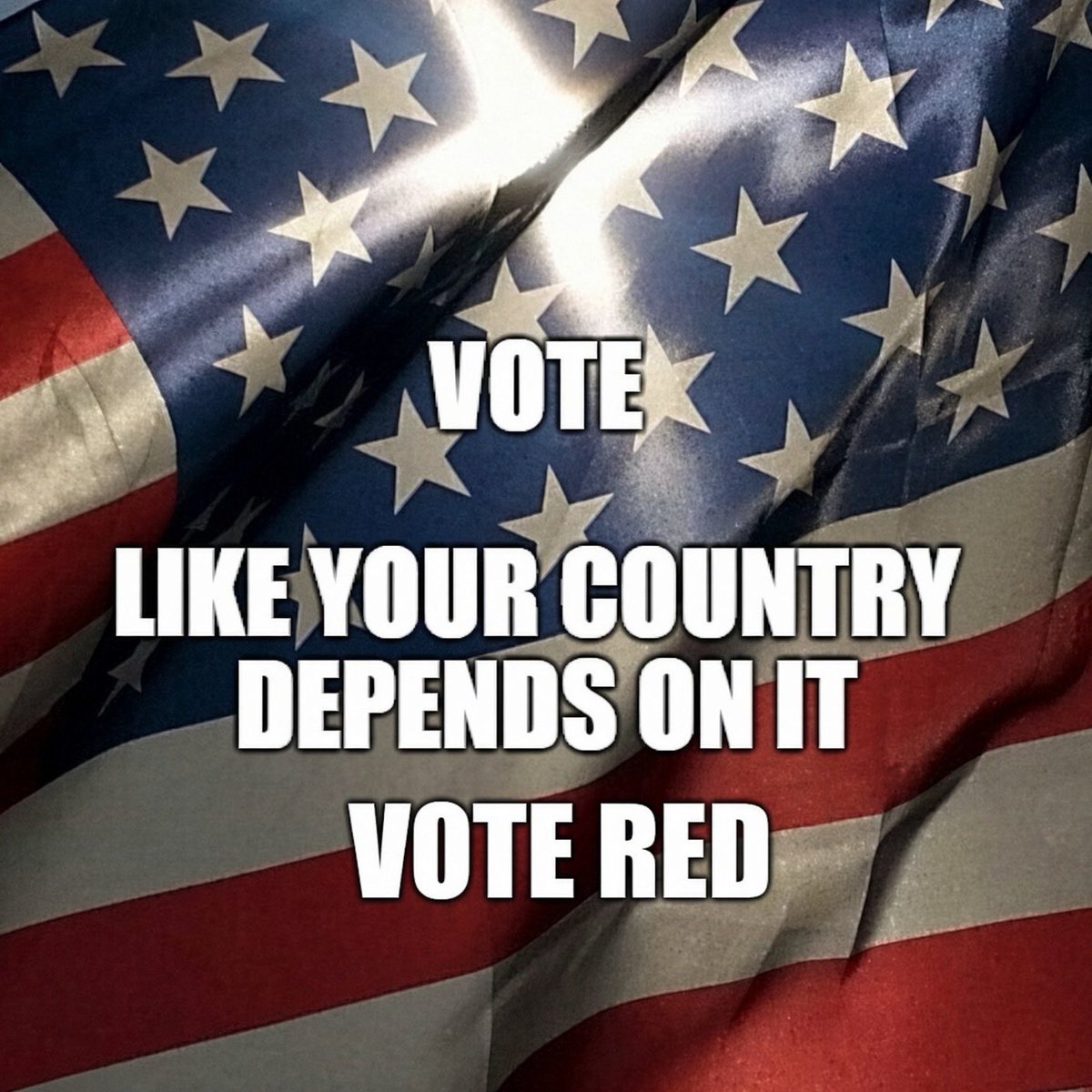 SparksN123's tweet photo. Vote Red. Your grandkids will thank you. Or at least still have a country to thank you in. https://t.co/UYJMJM9B2v