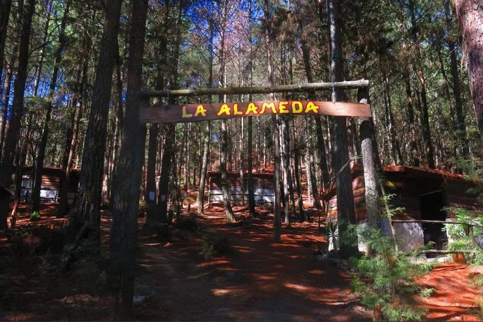 Canopy, mirador, cabañas y aventura: explora el ecoparque La Alameda Xela