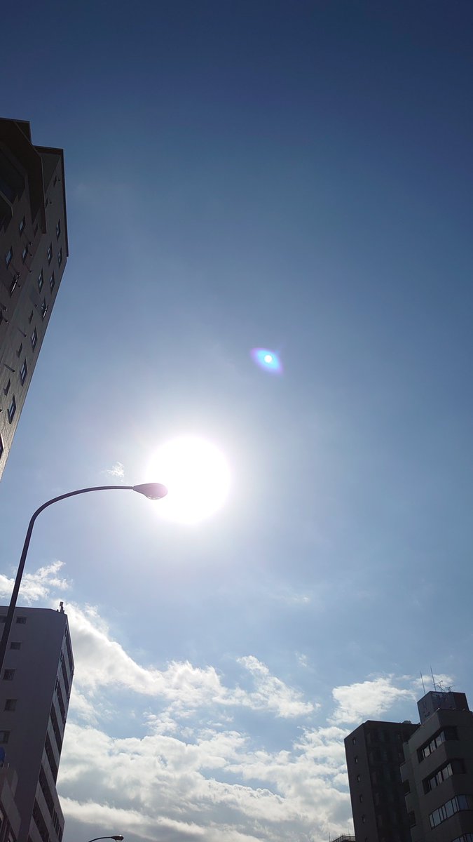 VENUS_peta's tweet photo. 撮影日和☀🎥 https://t.co/hXA3UP3giT
