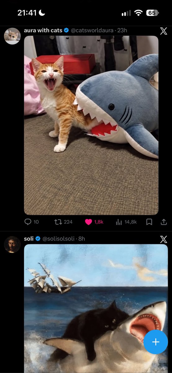matiasbnf's tweet photo. @catsworldaura wtf gracias twitter https://t.co/zhVij01UZQ