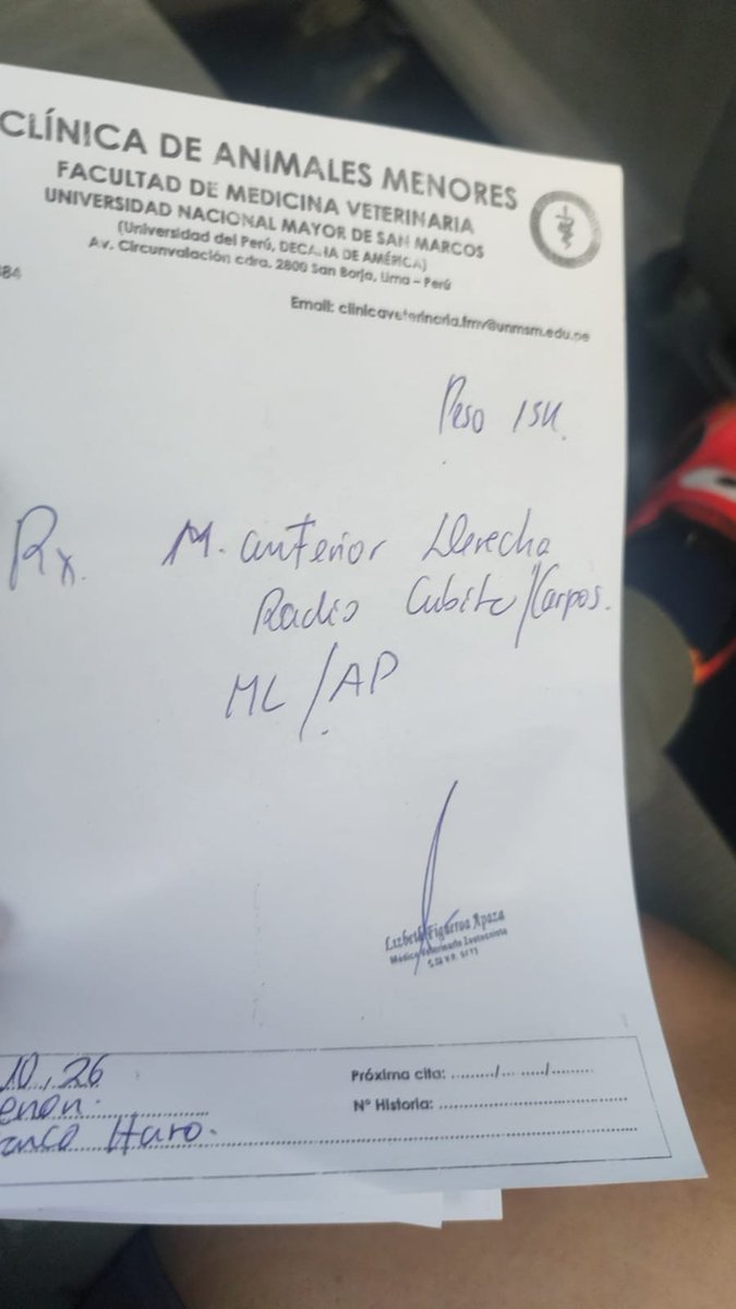 caritortas's tweet photo. Perrito atropellado en sjm necesita urgente placas y exámenes y ser operado Tigo suma por favor . Lo han rescatado pero no pueden asumir el gasto . Les ruego su apoyo . https://t.co/Ck8HnncPJS