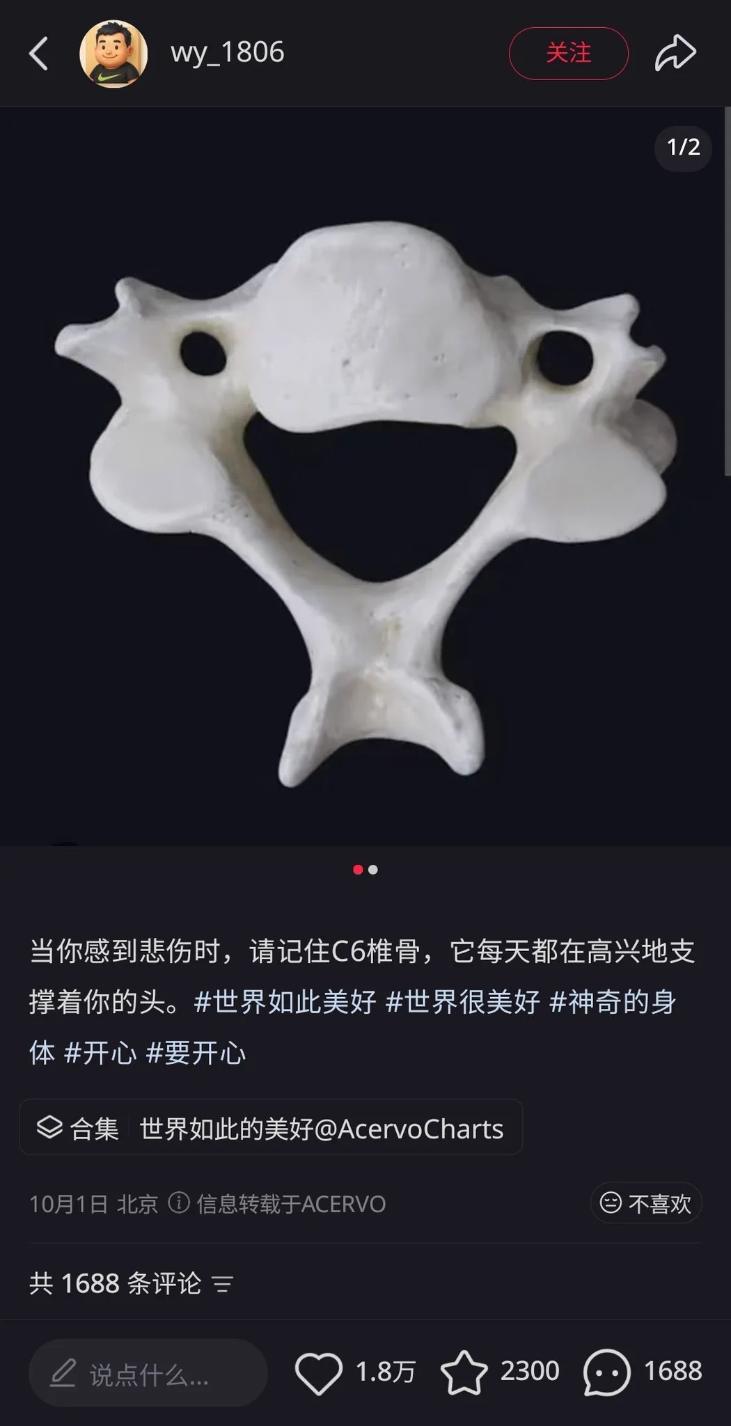 空言 on X: 