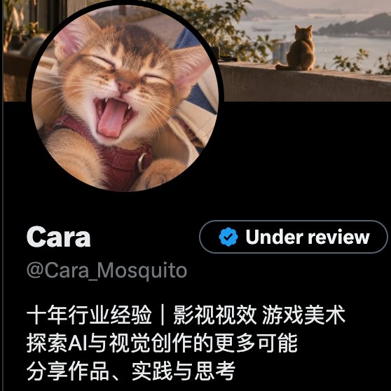 Cara_Mosquito's tweet photo. 蓝V审核怎么这么慢 12小时了 你们也这样吗？ https://t.co/azzOCHKqLs