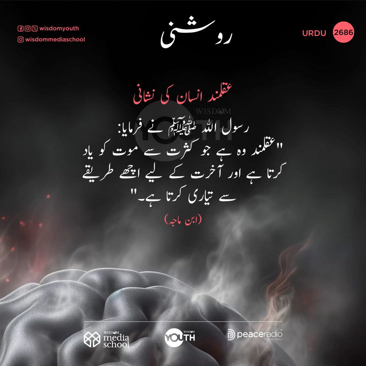 WisdomUrdu's tweet photo. 2686  | روشنى

🟨 Follow us on Snapchat 

https://t.co/U492AttId6

🟩 Follow our WhatsApp Channel

https://t.co/oLx9prnjsI

#thelightUrdu
#qsvurdu
#wisdomIslam
#dailyqranurdu
#wisdomUrdu https://t.co/hyYwuq9TOU