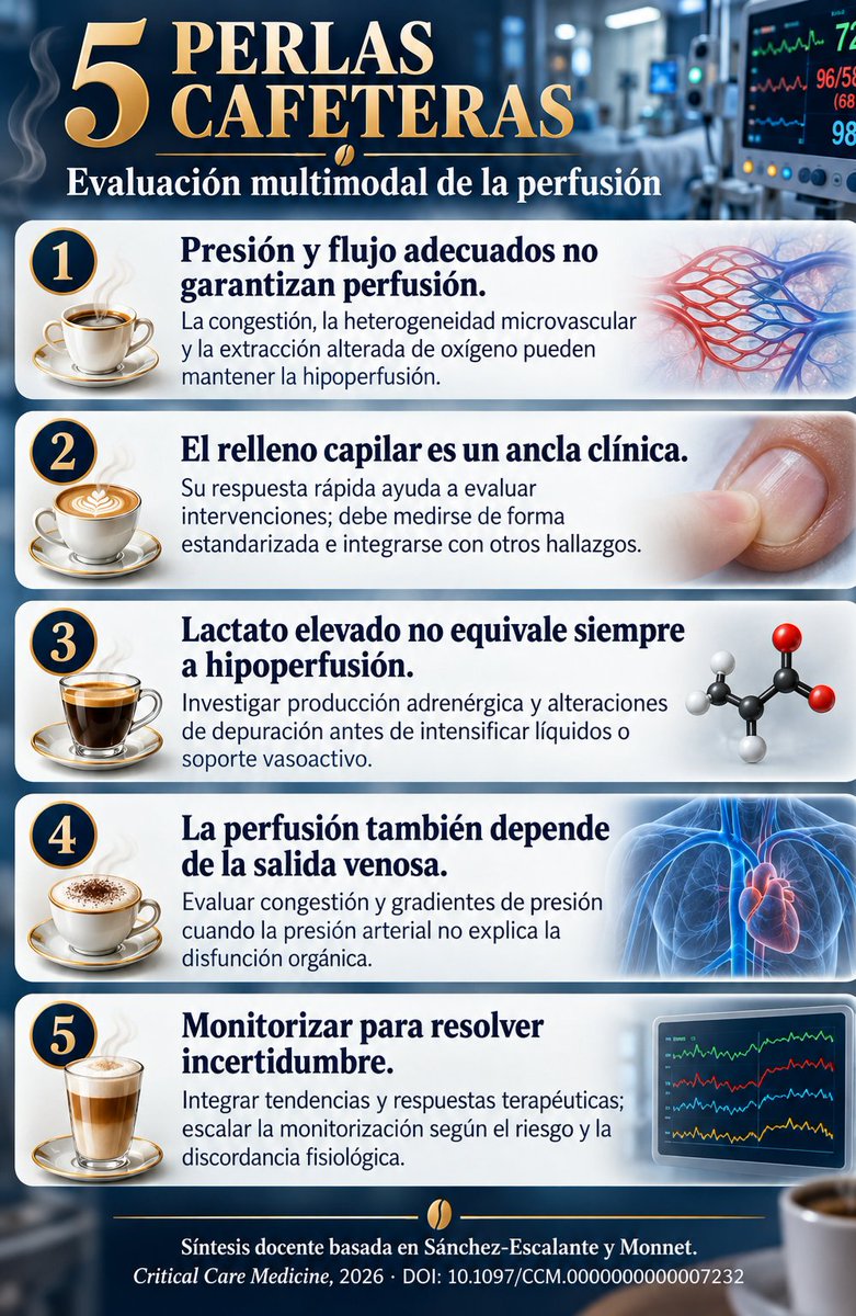 LeslieMegom's tweet photo. 🔰Evaluación multimodal de la perfusión en pacientes hemodinámicamente inestables🧠🫁🫀
📚La reanimación debe demostrar que mejora la perfusión tisular. Una presión arterial aceptable, un gasto cardíaco aparentemente suficiente o una saturación venosa normal pueden coexistir con hipoperfusión por heterogeneidad microvascular, congestión venosa, alteración de los gradientes de presión o incapacidad para extraer oxígeno.
📖El artículo propone una evaluación escalonada, dinámica y proporcional a la incertidumbre: comenzar con señales clínicas simples y ampliar la monitorización cuando estas no explican el estado del paciente.
🔎Es una revisión narrativa con un marco de razonamiento fisiológico. Su propuesta completa no constituye un algoritmo validado mediante un ensayo clínico.
☝🏻El llenado capilar: El tiempo de llenado capilar TRC,  CRT en inglés ocupa un lugar central porque es accesible, repetible y responde rápidamente a cambios hemodinámicos. Su principal utilidad es permitir observar si una intervención produce una mejoría periférica inmediata.
🔴Sin embargo, depende de la técnica, temperatura, postura, iluminación, edema y tono simpático. Por ello, debe medirse de forma estandarizada y compararse bajo condiciones similares🚿💧💧
☝🏻🩸El TRC es una señal de perfusión periférica; no certifica por sí solo la perfusión de todos los órganos.
☕ Perla cafetera: El llenado capilar orienta la respuesta inmediata; el contexto determina qué significa esa respuesta.
☝🏻🤓Qué pregunta responde cada herramienta
HerramientaPregunta fisiológica?
🔴TRC¿Cómo evoluciona la perfusión periférica?
🔴Moteado cutáneo¿Existe compromiso cutáneo importante y mayor riesgo?Puede faltar en el choque y resolverse lentamente, menor utilidad para ajustes inmediatos.🩸
🔴Lactato y su tendencia➡️¿Cómo evoluciona el desequilibrio entre producción y eliminación?También aumenta por estimulación adrenérgica y alteraciones metabólicas o de depuración.
SvO₂ / ScvO₂¿Cuál es el balance global entre aporte y consumo de oxígeno?Un valor normal o alto puede coexistir con extracción deficiente y cortocircuitos microvasculares.🩸
🔴Brecha venoarterial de CO₂¿El flujo es suficiente para retirar el CO₂ producido?Depende también del metabolismo y de la relación entre contenido y presión de CO₂.
🔴Índice de perfusión periférica¿Cómo cambia la señal pulsátil periférica?Influido por vasopresores, temperatura, posición del sensor y dispositivo.🫀
🔴StO₂ mediante NIRS¿Cómo evoluciona la oxigenación regional?No mide directamente el flujo;  evidencia limitada para guiar tratamientos con beneficio clínico.
🔴Ecocardiografía y gasto cardíaco¿Qué mecanismo explica la insuficiencia circulatoria?Un flujo global adecuado no garantiza una distribución microvascular adecuada.
🔴Doppler venoso / VExUS¿Existe congestión que pueda comprometer órganos?Requiere contexto, no es una indicación aislada de retirar líquidos.💧💧💧
🔴Lactato: Gravedad y contexto antes que automatismo terapéutico
⚡️⚡️La hiperlactatemia conserva gran valor pronóstico, pero carece de especificidad para hipoperfusión. Puede reflejar:
●- Producción relacionada con hipoxia.
●- Glucólisis aeróbica estimulada por catecolaminas.
●- Disminución de la depuración, especialmente hepática.
●- Alteraciones del metabolismo del piruvato y de la función mitocondrial.
☝🏻🤓Además, su descenso puede ser más lento que la recuperación circulatoria. Si el TRC mejora, las señales clínicas se recuperan y el lactato permanece elevado, debe investigarse la discordancia antes de administrar más líquidos o aumentar el soporte vasoactivo.🩸💉
☝🏻🤓La implicación no es ignorar el lactato: es explicar su persistencia.
☕ Perla cafetera: El lactato elevado exige una explicación fisiológica; esa explicación puede cambiar por completo el tratamiento.‼️
🔴Saturación venosa y CO₂: información complementaria
🔎La SvO₂ refleja el balance entre transporte y consumo de oxígeno. 👇🏽