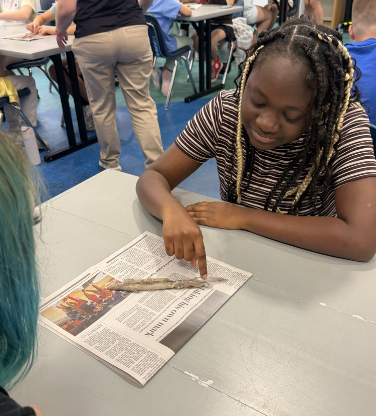 SevernaParkMS's tweet photo. 🐠 Marine science in action! Our Stingrays students explored the Baltimore Aquarium.
#ParkPride #BelongGrowSucceed https://t.co/UqMpsCL9KL
