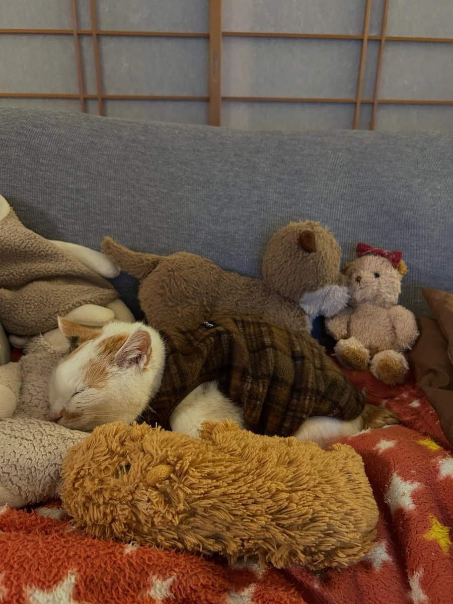 AnnabelGutvum's tweet photo. ただ時間の経過を受け入れるだけの状態が心地よい。 https://t.co/ioJvvPmmKx