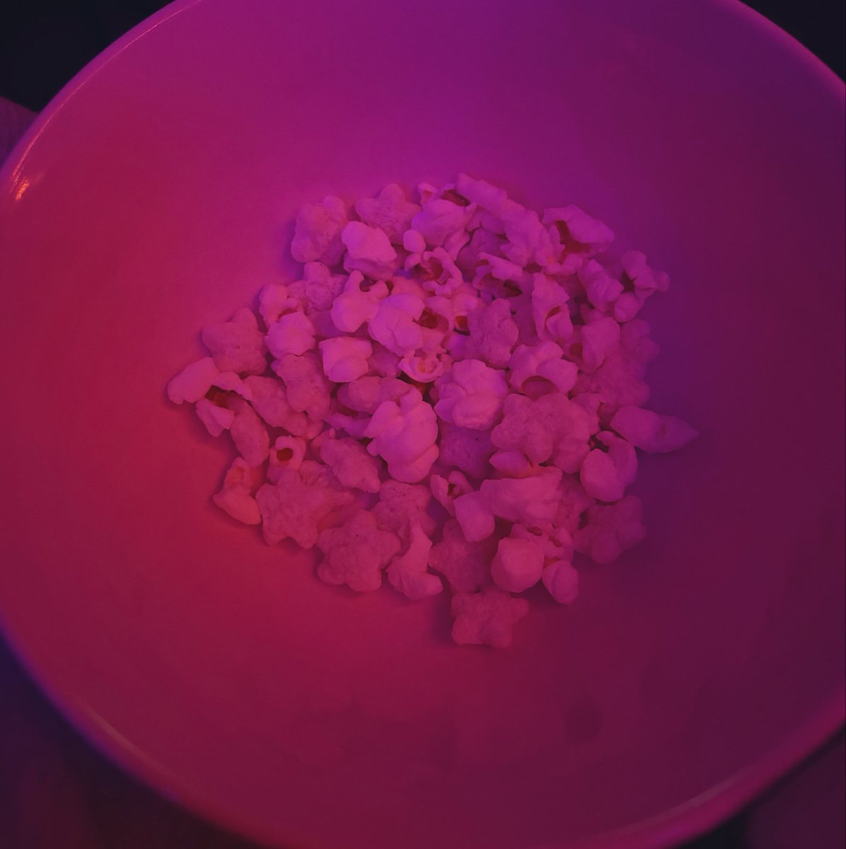 alexxoffline's tweet photo. full day of eats after a 48 hr fast #edrtwtㅤ ໒꒱ྀི ~ total: 378c burned: 400c https://t.co/C4Nid16zD8