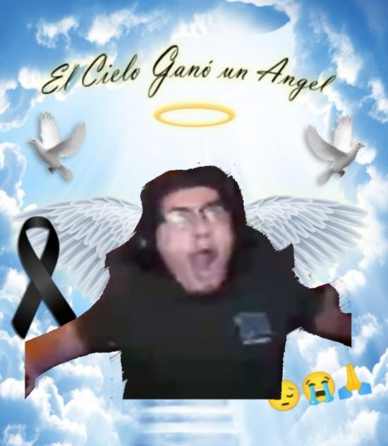 Dana_naei's tweet photo. No les tocaba webones, vuelen alto Locochon y Tomycatt 🕊💔

#Dedsafío4 https://t.co/AUHCh58mHd