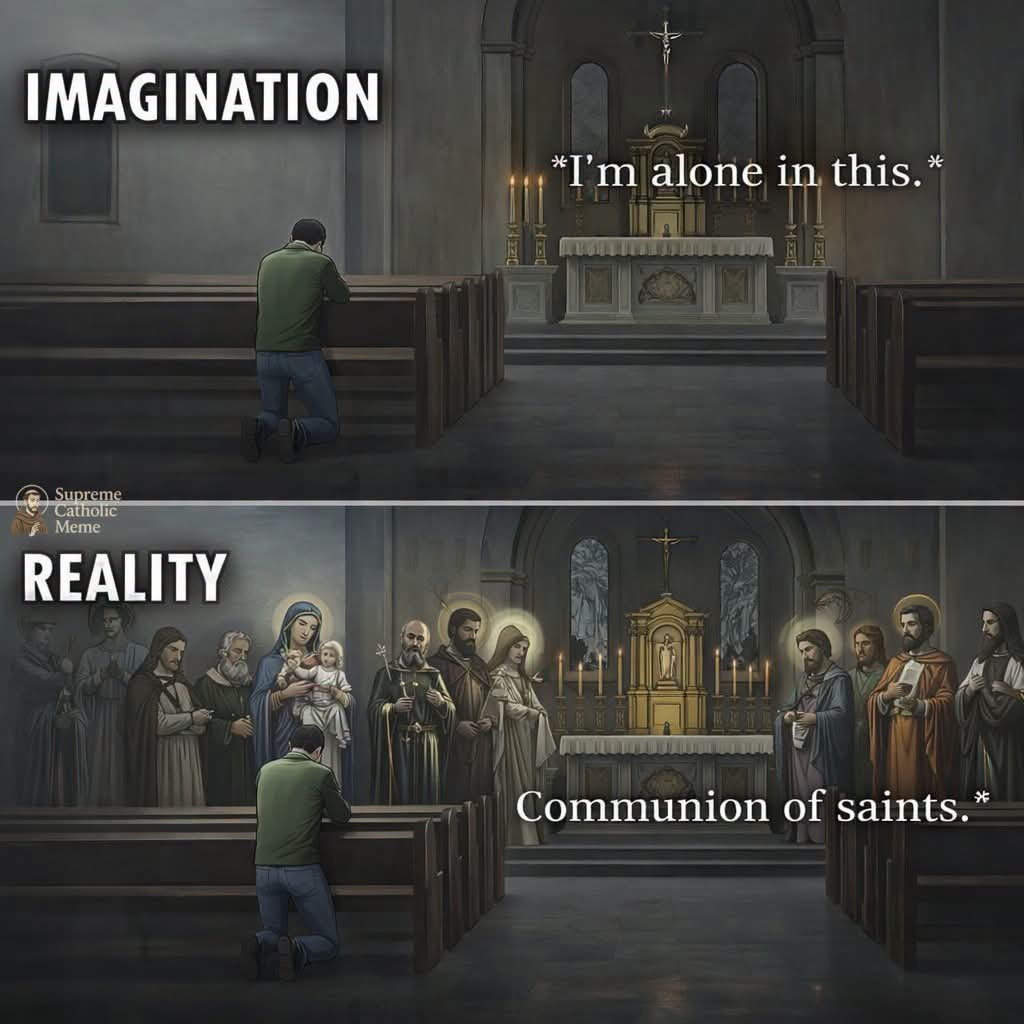 sscjusa's tweet photo. Video Credit: Supreme Catholic Meme https://t.co/8kcn38XoXF