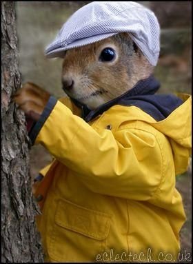 MeThySquirrel tweet picture