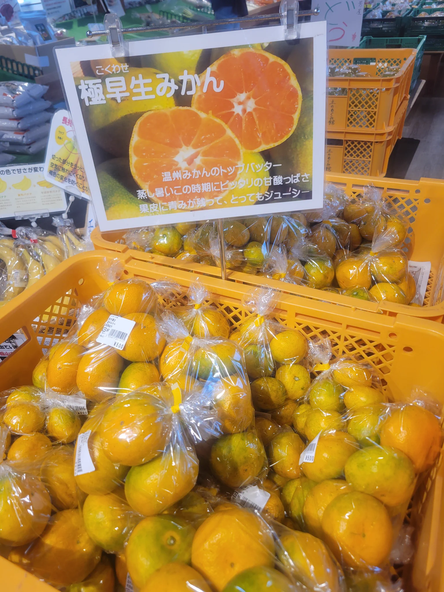 ふくろうの森　みかんさん専用 道の駅「三芳村」鄙の里 on X: 