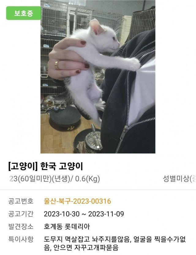 weirdnlovely's tweet photo. 멱살 잡고 놔주지를 않아 얼굴을 찍을 수가 없음 https://t.co/ZqbJLYjbZ0