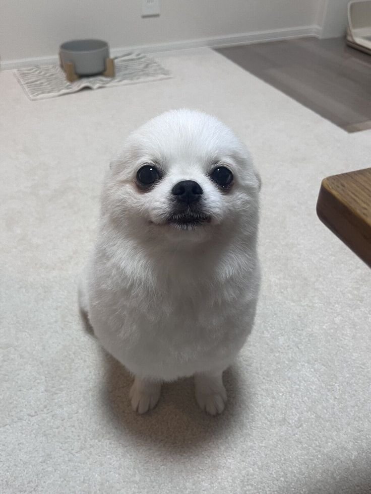 canihaedo's tweet photo. 마마~~~~~
우우우~~~~~~~

                                                            (합) https://t.co/tXpCOclclv