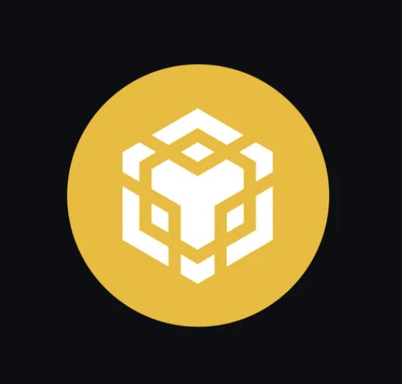 Abrlien's tweet photo. BNB Chain leads #USD1 adoption 

🔸 559,060 holders on #BNB Chain
🔸 Nearly 87% of all USD1 holders
🔸 Almost 84% growth in just 90 days

From 304,328 to 559,060 holders and counting https://t.co/NbG3CvO1N2