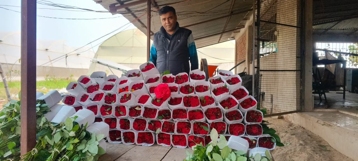 AgriGoI's tweet photo. Protected Cultivation, Better Farming 🌱🌸
Harwari Super Food Producer Co Ltd., #Prayagraj #PMDhanDhaanyaKrishiYojana district #UttarPradesh
@NITIAayog
FPO Contact: Jigyasu Mishra 82994 37986
Click to buy products directly from FPO
https://t.co/P5O563nP5X
#DDKY https://t.co/6yzBYfdR9k
