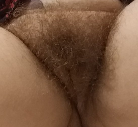 pervtotal23828's tweet photo. My wife. #hairypussy #fullbush #bringbackthebush https://t.co/Jylwwq9Lt6