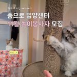 Photo by 한국고양이보호협회 (@kopc2005)