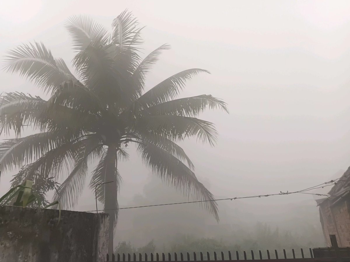 rkiveforlive's tweet photo. Ini bukan kamera gue yang burik ya tapi emang Palembang nya yg blur 😃
Dan ini terparah selama kabut asap belakangan ini. https://t.co/ijPkqqt7Go