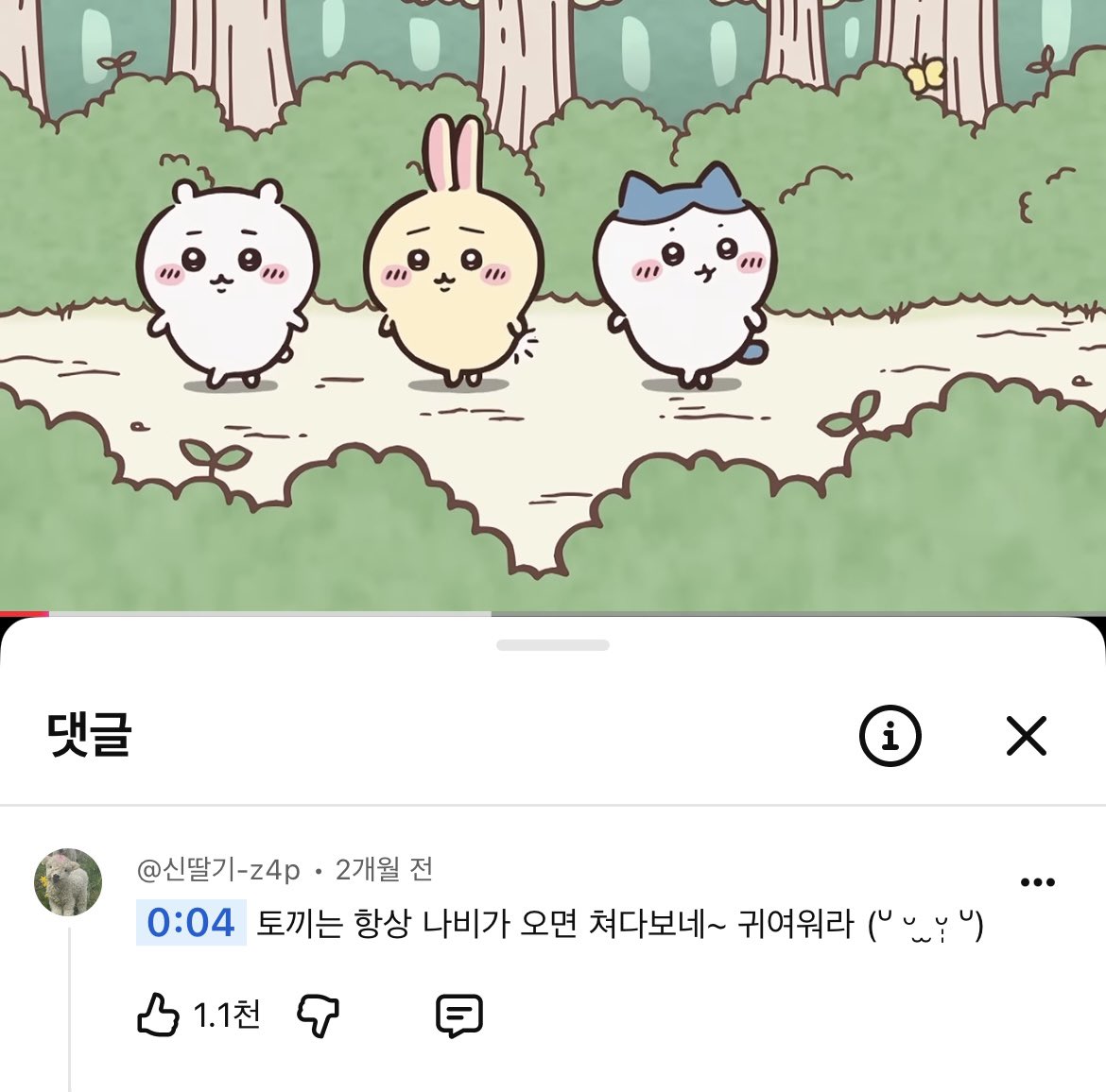 _0H0lElLl's tweet photo. 토끼는 항상 나비가 오면 쳐다보네 <- 먼가 이 댓글이 내 심금을 울림... https://t.co/fFuAc2Dt0T