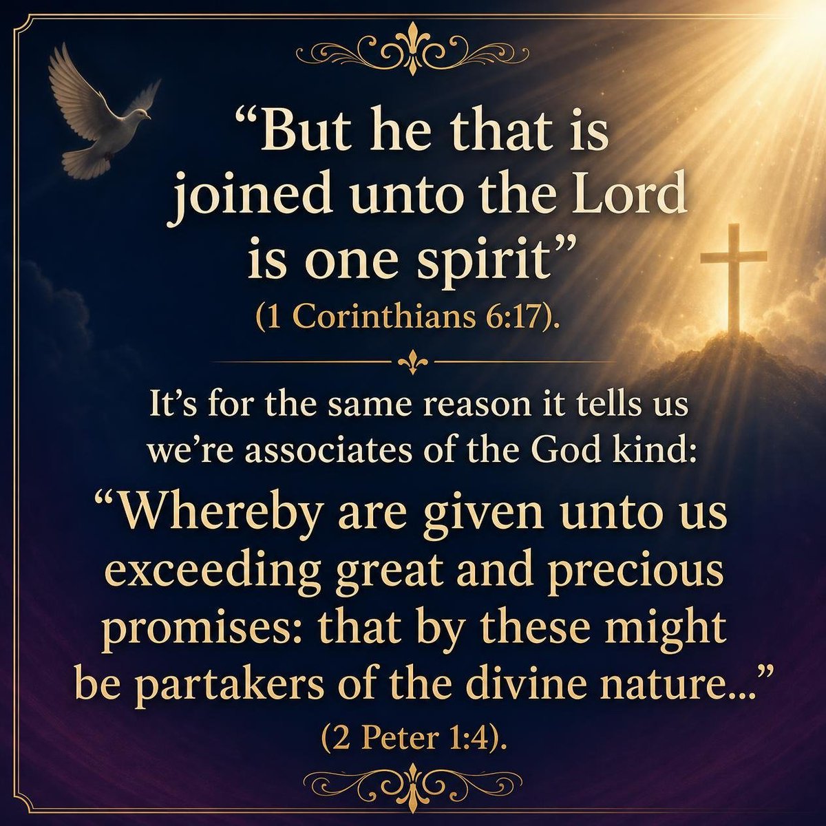 FitwellG's tweet photo. I am joined unto the Lord, one spirit with Him. I am a partaker of the divine nature. That is what I am, not what I feel. (1 Cor. 6:17; 2 Pet. 1:4)#OneSpirit #GodKind #NewCreation #RhapsodyOfRealities https://t.co/cXi9QKrqq9
