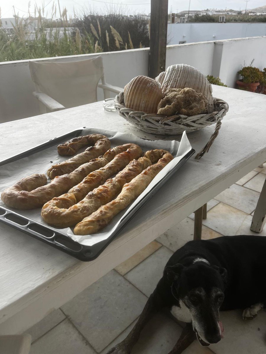jelenacocco's tweet photo. Čuvar pite u zimskom periodu... Ovde toliko duva da je prekinut saobraćaj trajektima. Moraćemo da ostanemo na ostrvu.... https://t.co/K4kuKLmsqk
