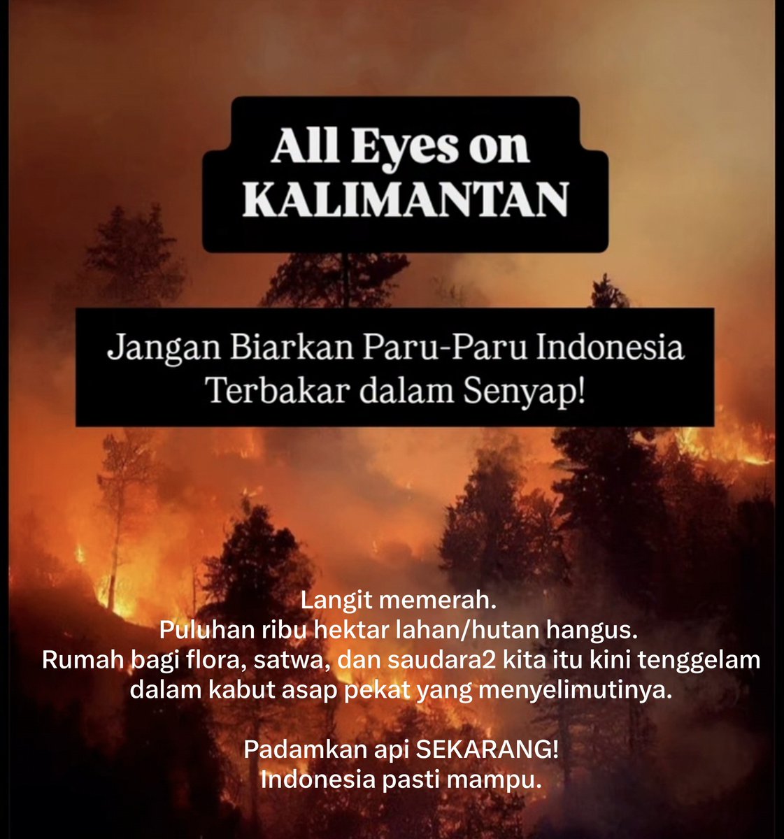 addiems's tweet photo. https://t.co/wEUtTF0R9B