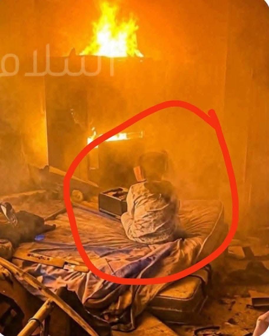 rulajebreal's tweet photo. Si chiama Mariam Ghanem.
Ha due anni e mezzo.
Ieri, alle quattro del mattino, ha visto sua madre morire bruciata viva in un bombardamento israeliano contro una tendopoli a Gaza.
Mariam è sopravvissuta. 
Il Suo papa’ era già stato sterminato da Israele pochi mesi fa. 
A due anni e mezzo, è rimasta senza entrambi i genitori.
La sua è una delle innumerevoli infanzie devastate a Gaza. 
Un’infanzia che avrebbe dovuto conoscere protezione, non le bombe, e un genocidio coloniale. 
A Gaza ci sono 90.000 orfani. Novantamila bambini che hanno perso un genitore, o entrambi. Non sono numeri: sono vite spezzate, volti, nomi, storie.
Gaza è il cimitero del diritto internazionale. E della civiltà occidentale.