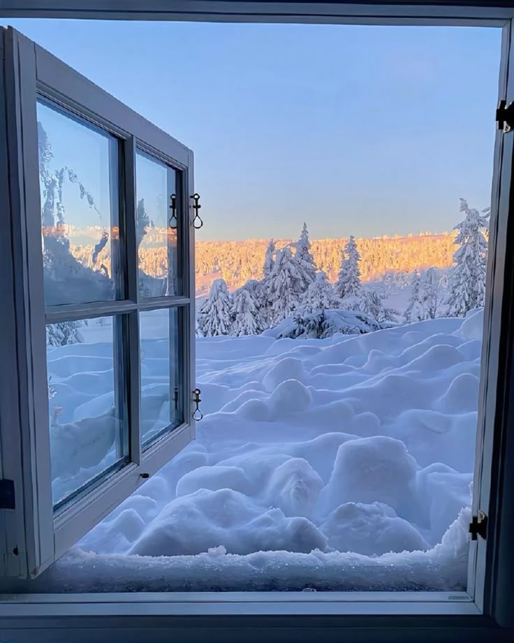 purenature_1's tweet photo. Open window to snowy pines ❄️ #winter https://t.co/sEfjMyL8r2