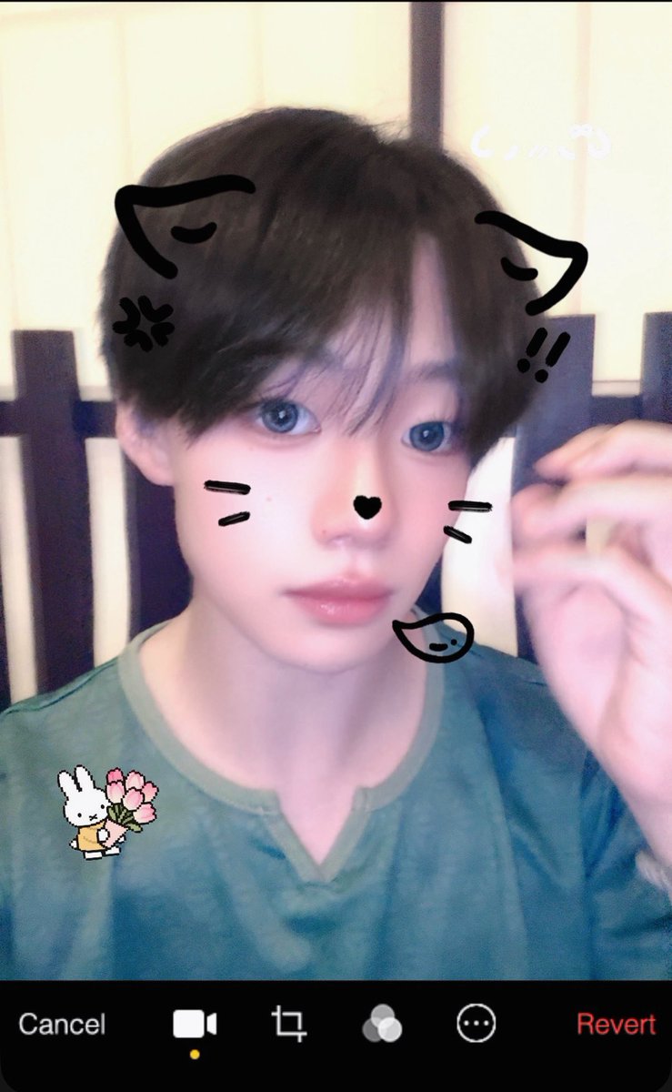 ruuto_ko1ly's tweet photo. ねむいよ😴 https://t.co/cO2tzqxoXA