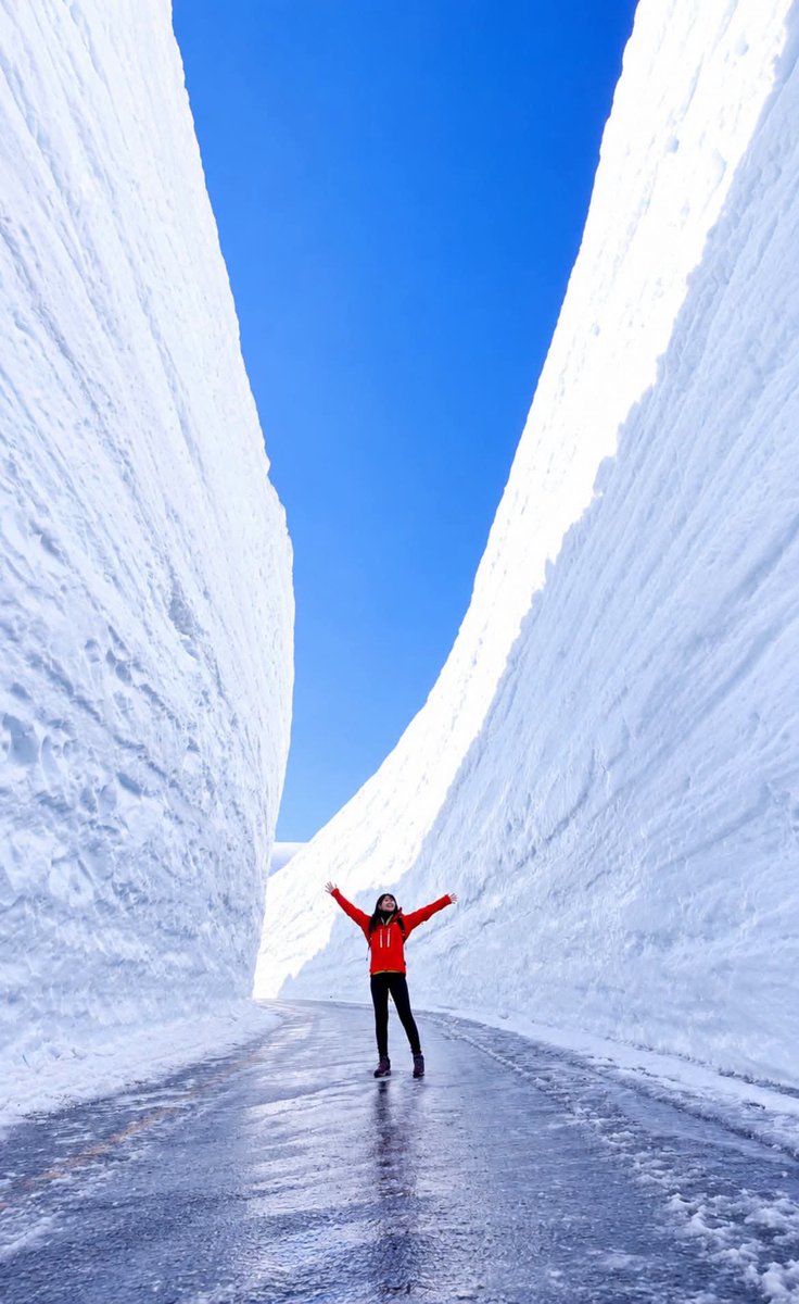 smmoshiur02's tweet photo. The Tateyama Kurobe Alpine Route ❤️

#Japan  #travel https://t.co/Il9iAQjZDm