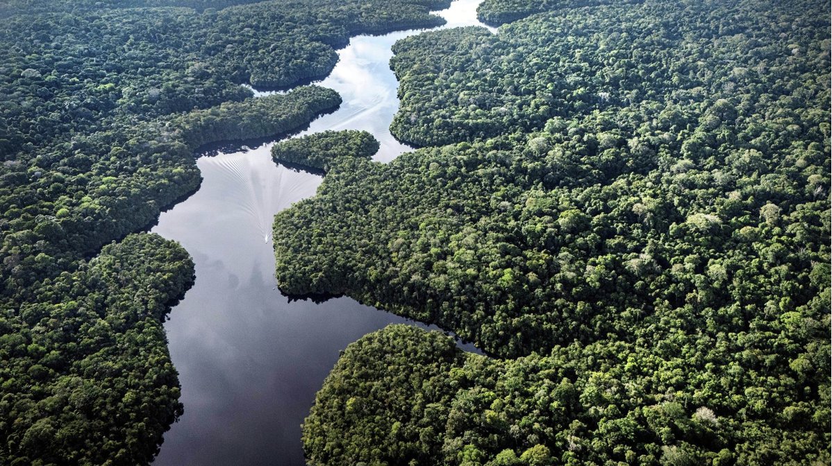 JorgeGestoso's tweet photo. Cae un 15% la deforestación mundial durante 2025: América Latina encabeza los esfuerzos liderados por Lula en Brasil segun nuevo informe de Forest Declaration Assestment https://t.co/lsCYEkKucZ