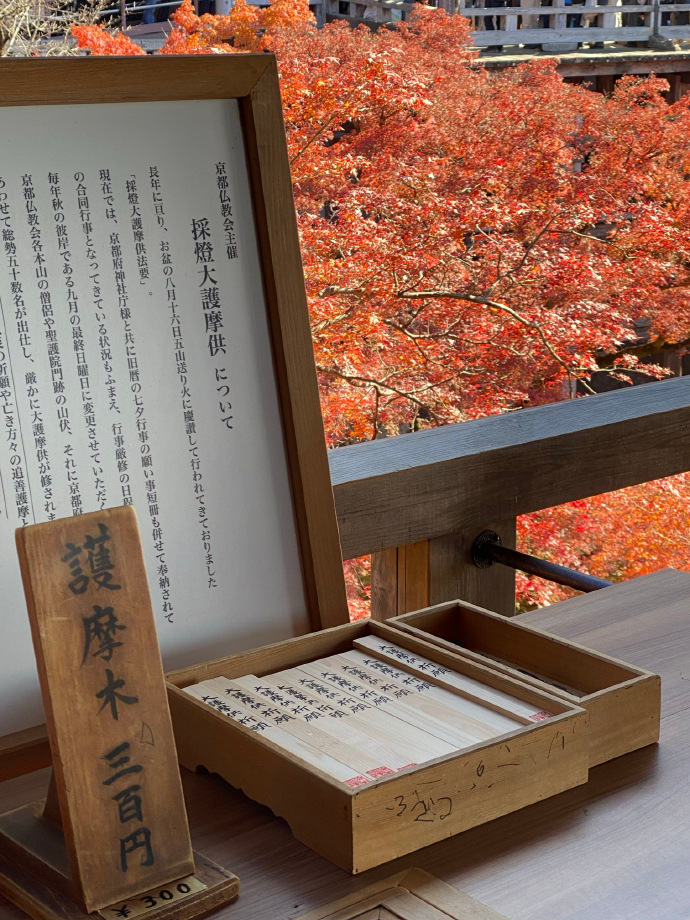 jinu75605752's tweet photo. [度阑墓僖の季節、心がぽっかり温まる瞬間]， https://t.co/J4sn6ZmdZv