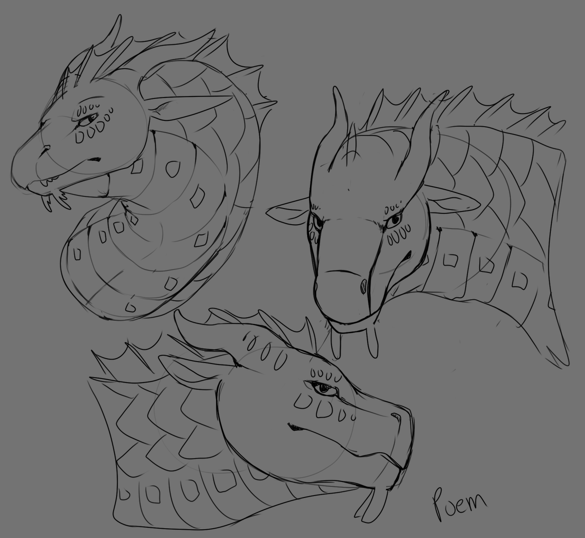 Poem_The_Dragon's tweet photo. Seawing sketches. 

#dragonart #seawing #myart #digitalart #wingsoffire https://t.co/VqivwhemWN