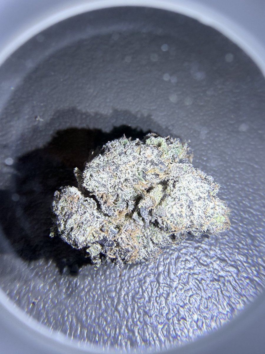 StonedLegxnd's tweet photo. Zone 6 (NY Brand) new drop overall 7/10 
Good candy , nothing that stands out , flavor great tastes like Z cross with a good candy / “slightest hint of og”  (no genetics on bag) https://t.co/yj4F5INWzG