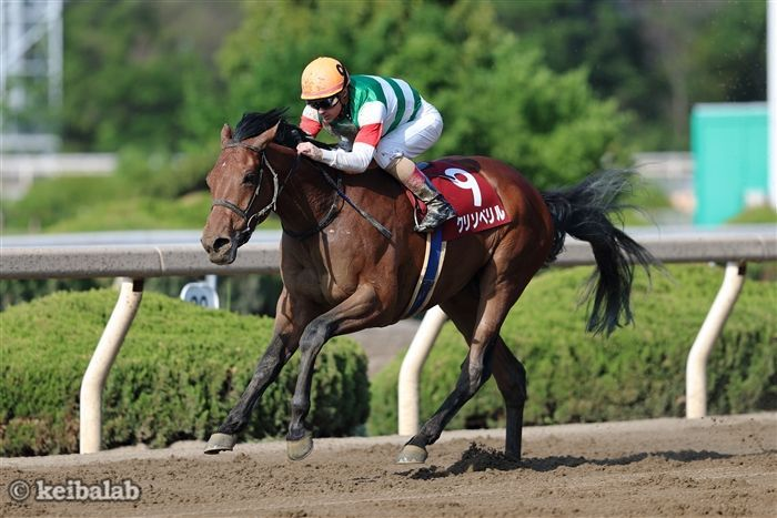 keibalab's tweet photo. 【時は来た。それだけだ】
土曜京都6R・2歳新馬では、クリソベリル産駒のバクショウセンゲンが田口貫太騎手を背にデビュー。

馬名意味は"爆勝宣言"。馬主は中内田克二氏。中内田充正調教師の父です(厩舎は藤野健太厩舎)
#バクショウセンゲン #破壊王 #田口貫太 
https://t.co/xCiJmaMSXf https://t.co/oHTRQwWDg9