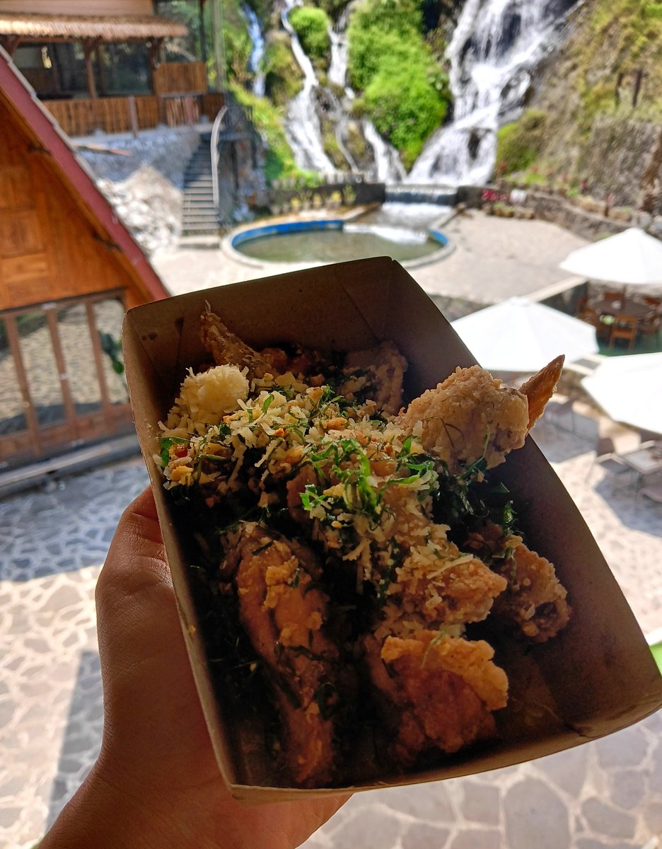 yourkayinn's tweet photo. nikmatin makan cemilan chicken wings garlic dengan views alam air terjun gini, emang bikin mood bagus capek hilang sesaat juga.

hidup satu kali, happy harus tiap hari 🫶🏻 https://t.co/mSuoLBf79J