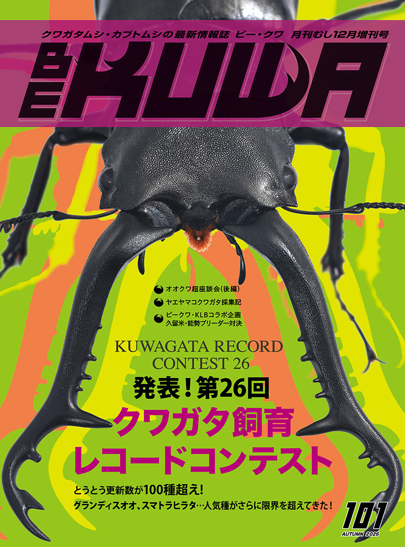 mushi2091's tweet photo. 【新着書籍】  
 『BE-KUWA 』No.101
第26回クワガタ飼育レコードコンテスト
2026年10月21日発売  
税込み1650円（本体価格1500円）

★全国のショップさんに発送いたしました。
★書店での発売は10月21日（水）になります。
ご注意ください。 

【大切なお願い：ネタバレ防止にご協力ください】
読者・愛好家の皆様へ、最新号を新鮮な驚きとともにお楽しみいただくため、発売日前のSNS等でのレコード結果の投稿はどうかお控えください。
発売日の瞬間まで、みんなで一緒にワクワクを大切に守っていけたら嬉しいです。皆様のご協力をよろしくお願いいたします！