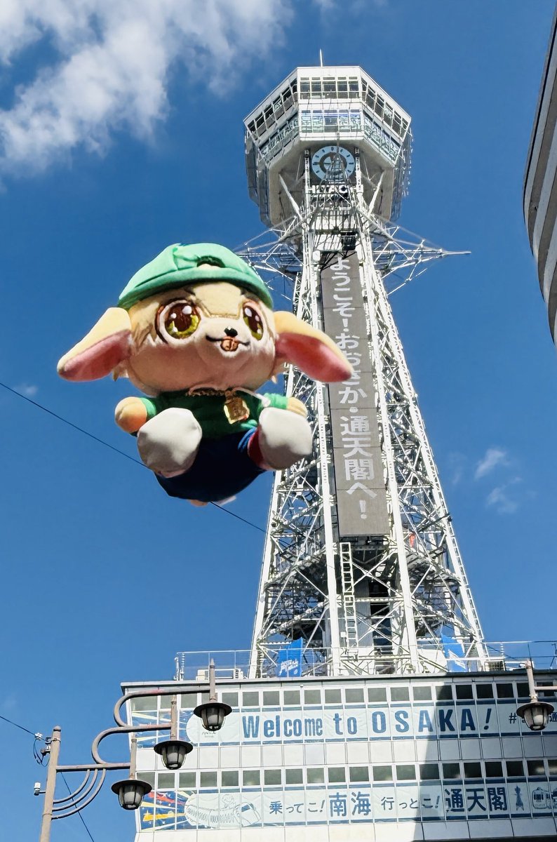 Kamiyama_ELOV's tweet photo. ───────────→
   #INPUTOUTPUTツアー
←───────────

神山智洋ソロツアー
大阪・Zepp Namba(OSAKA)にて本日オーラス🎉

Beatyも一緒に新世界へ💥
ご来場の方はお気をつけてお越しください！

#Beatyのおでかけ日記
#TomohiroKamiyama
#神山智洋 https://t.co/7DdD1mKotY