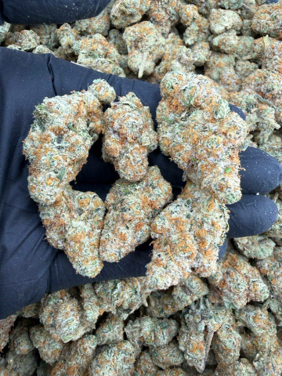 Jackmichael001's tweet photo. Peach Cobbler OG 🍑 https://t.co/hwnnKq0UWw
