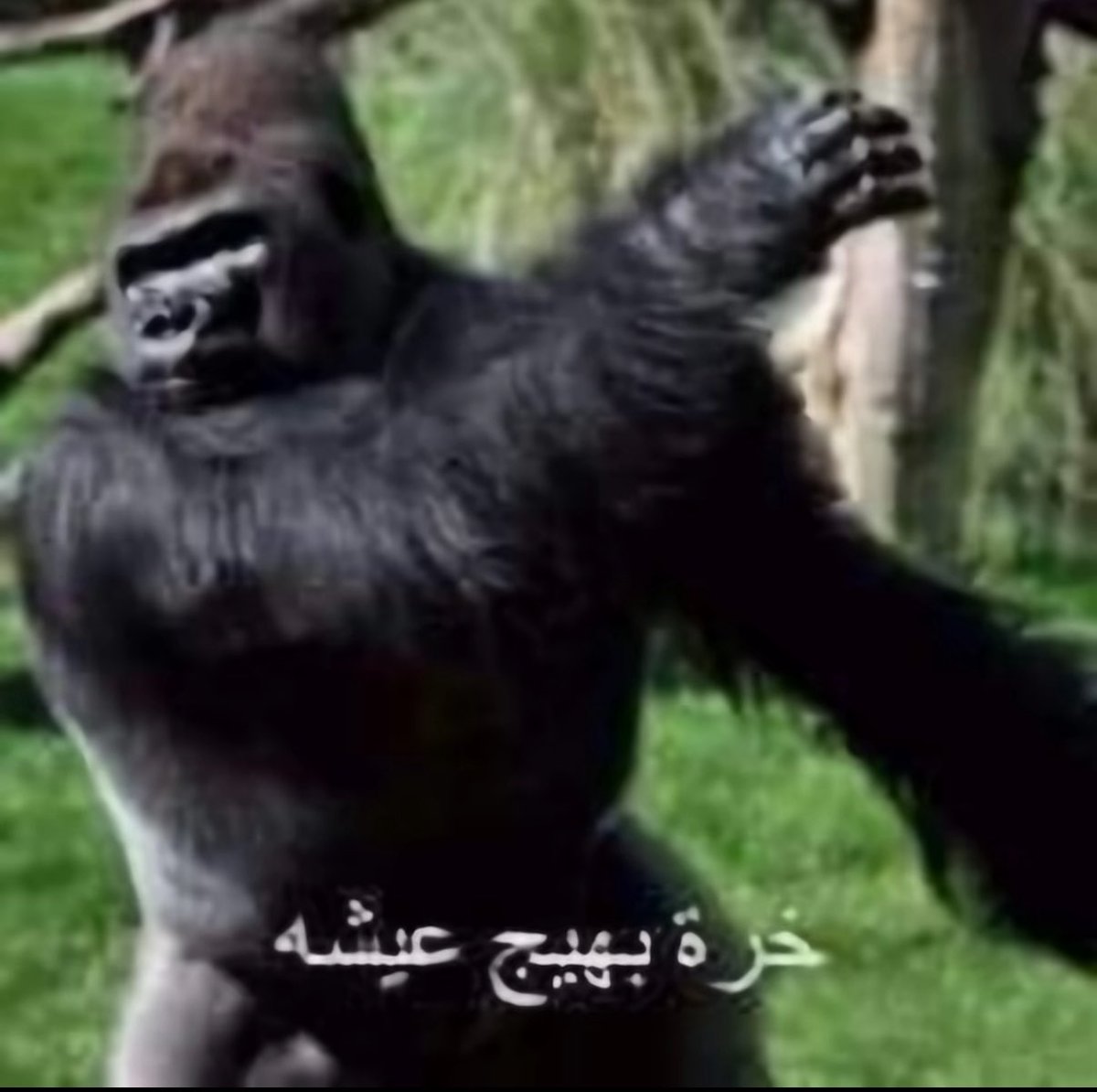 wewe_44's tweet photo. انا لأني توقعت اني بجيب الفيات على طول بس للحين صفريه https://t.co/3XzckbWIhZ