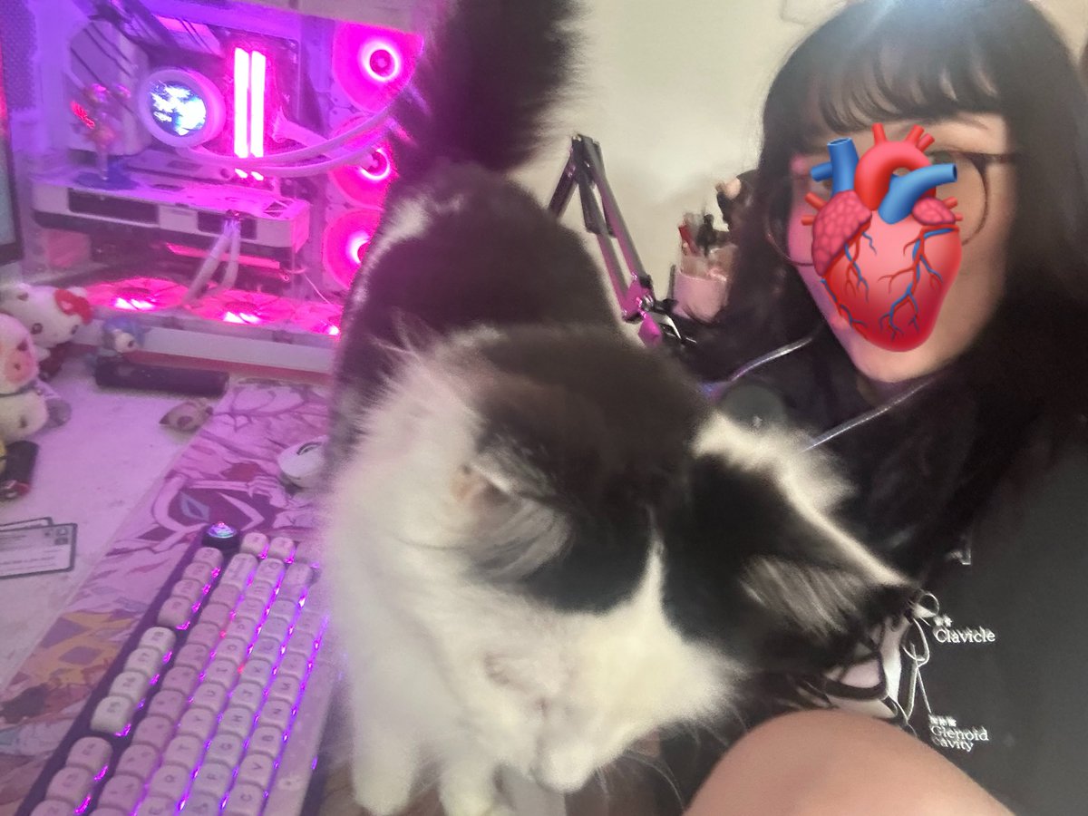 ch3shirebat's tweet photo. live playing silent hill 2 w my cat https://t.co/Q6c1Gnx9IA