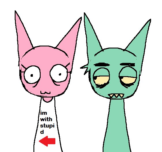 shelley_zedkat tweet picture