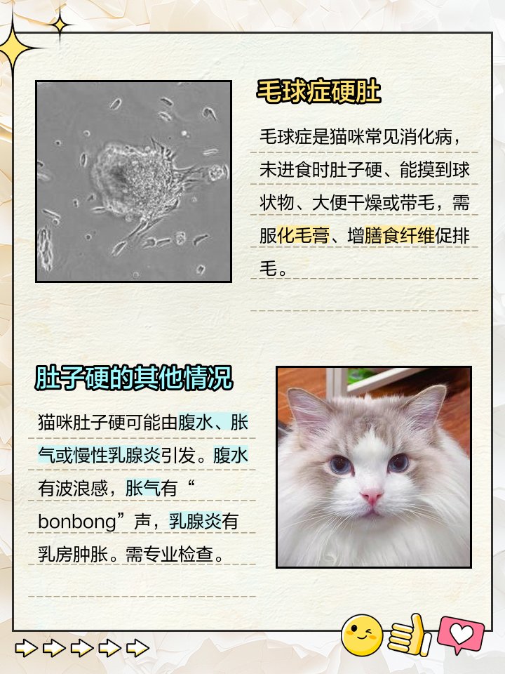 StrAw606g's tweet photo. [豢えた猫が腹をふくらませて、城の縁で眠ってる] https://t.co/w0AYbeqn9U