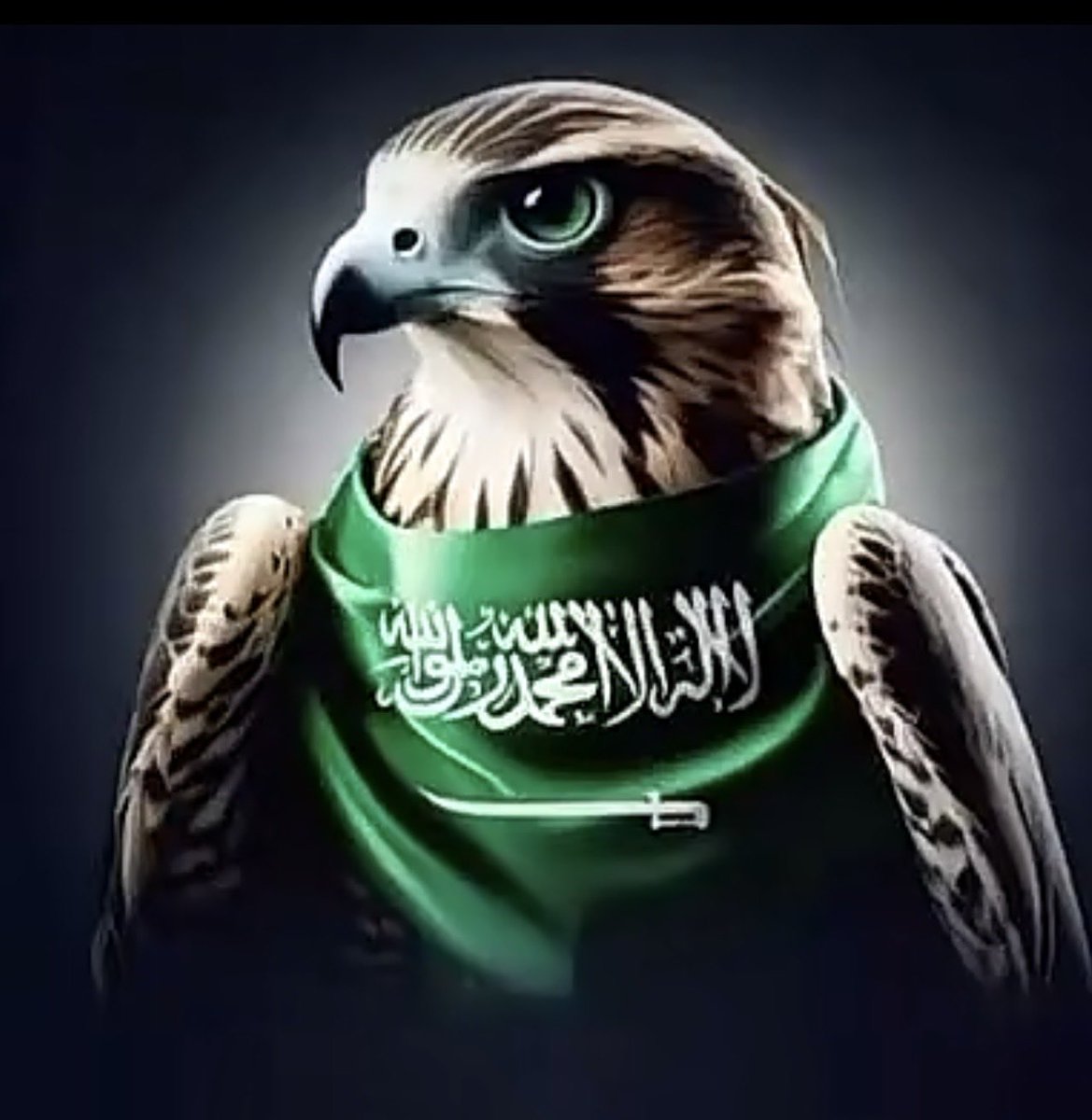 asma_mohamad_'s tweet photo. •«اللهم اجعل هذا البلد آمناً مطمئنانً وسائر بلاد المسلمين»
•«اللهم احفظ أوطاننا، وأدم علينا نعمة الأمن والأمان، واحفظ بلادنا وولاة أمرنا، واجعلها دار عز واستقرار وسلام»
•«اللهم إنا نستودعك أوطاننا وأهلنا، فاللهم احفظ بلادنا وبلاد المسلمين من كل سوء ومكروه» https://t.co/HAwsFL4ifu