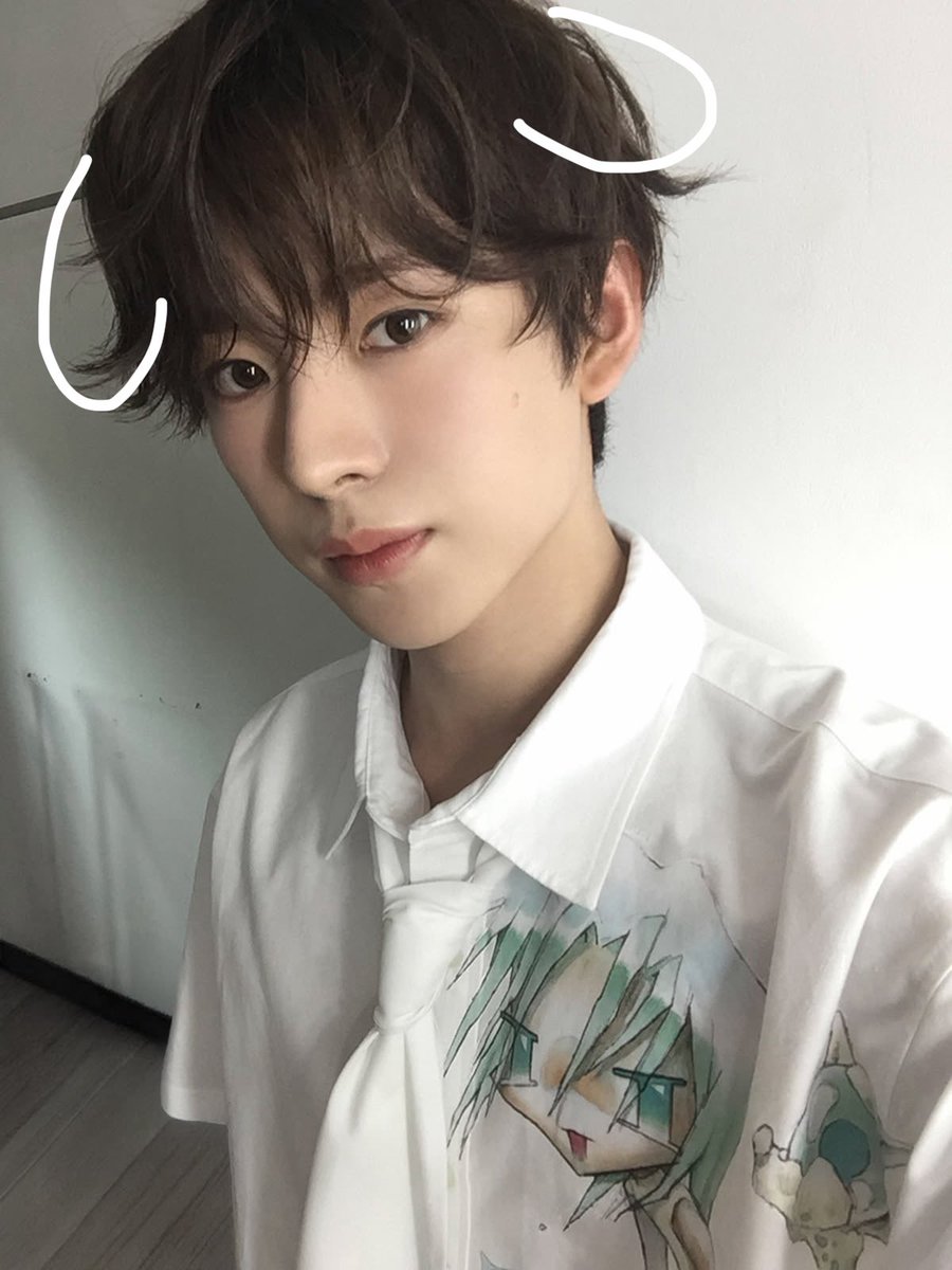 babyimallstar's tweet photo. my cutie poodles https://t.co/F9fjd6zvJB
