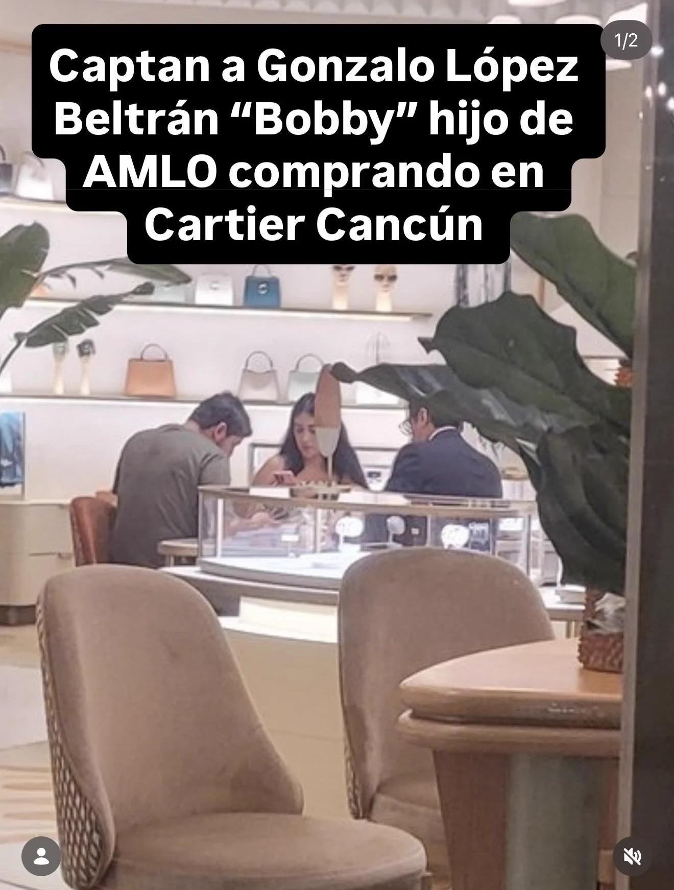 LA NO OPOSICIÓN on X: 