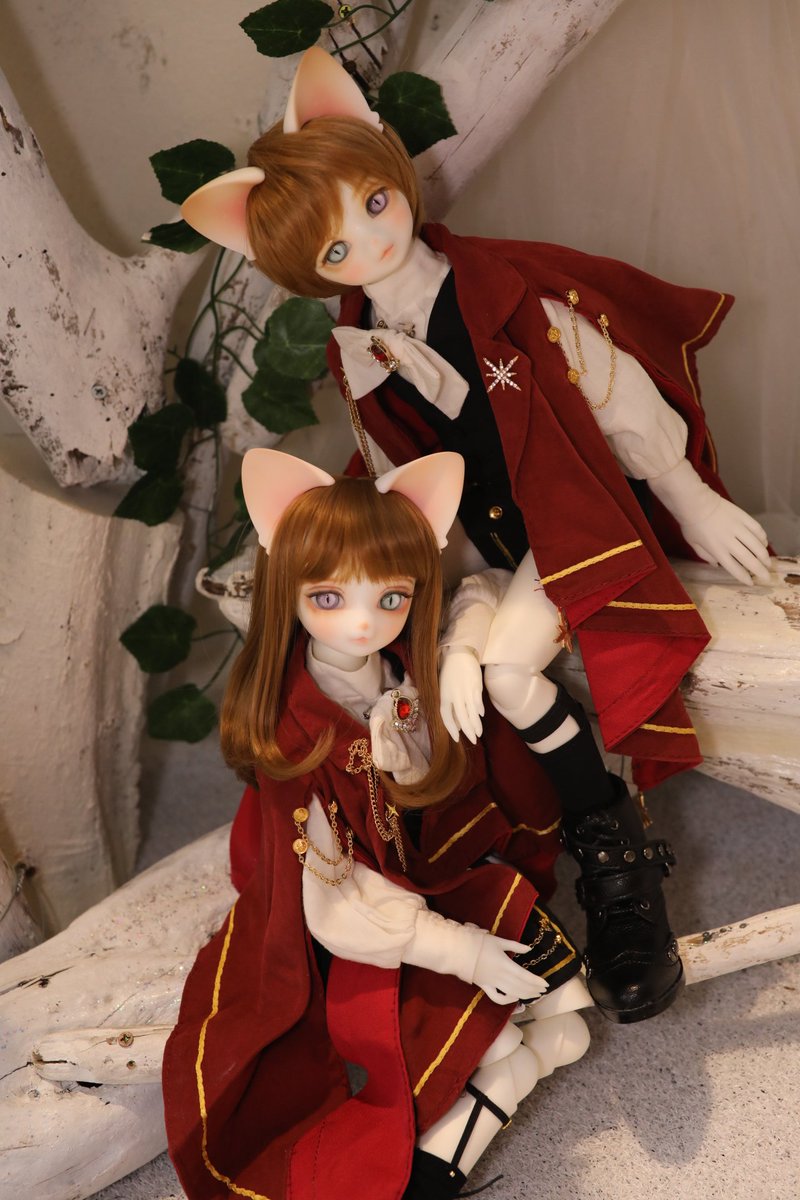 qQCjNxmH2dqbh's tweet photo. 賢治🐱とｱﾝｼﾞｪﾗｻﾝ🐱

ANGELAとEVANSが同系ヘッド(耳パーツも同じだよ)＆似たメイクだから、双子の姉弟感が強くて、男女間の空気は無いですね… https://t.co/S47aLPH3Ql