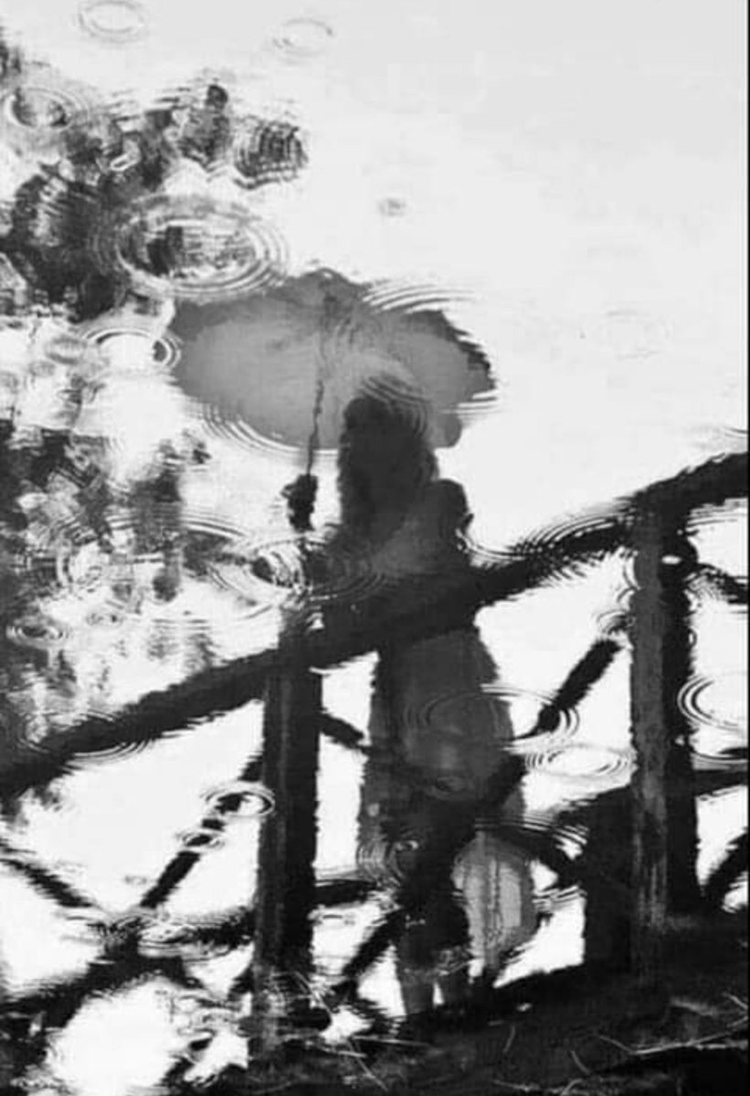 DianaJi21124081's tweet photo. "Muchas veces te deseo así y pienso ¡Cómo no estás aquí! 
Juntos miraríamos llover, quitaría mis ojos de la lluvia para mirarte a ti, estaríamos callados un buen rato y no sería necesario decir "te quiero" y volvería a saber que  eres dulce,tibia..como la lluvia"☔️
JaimeSabines https://t.co/YbYlHJLLqD