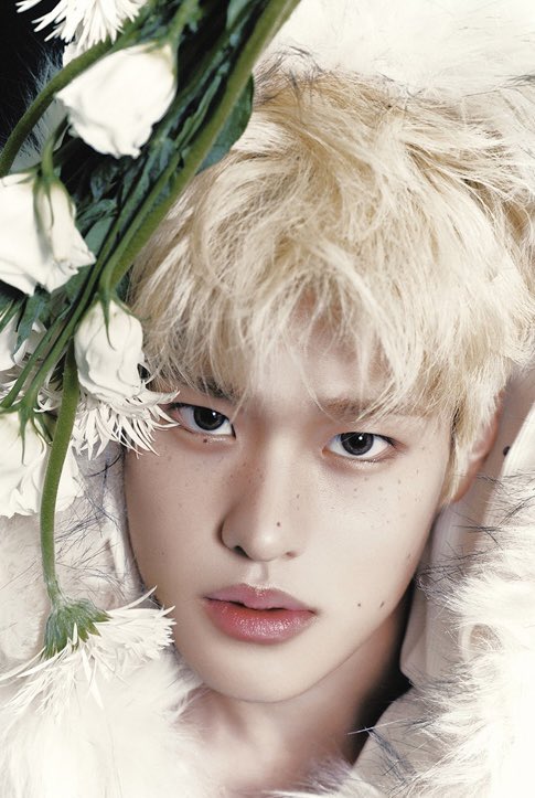 sohichaan's tweet photo. the category is: freckles on sohee https://t.co/rcFz6rkiW8